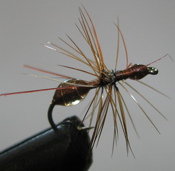 ���� Ant flies ������� ANT 09 ( Brown  EPOXY) Kumho dry � 14